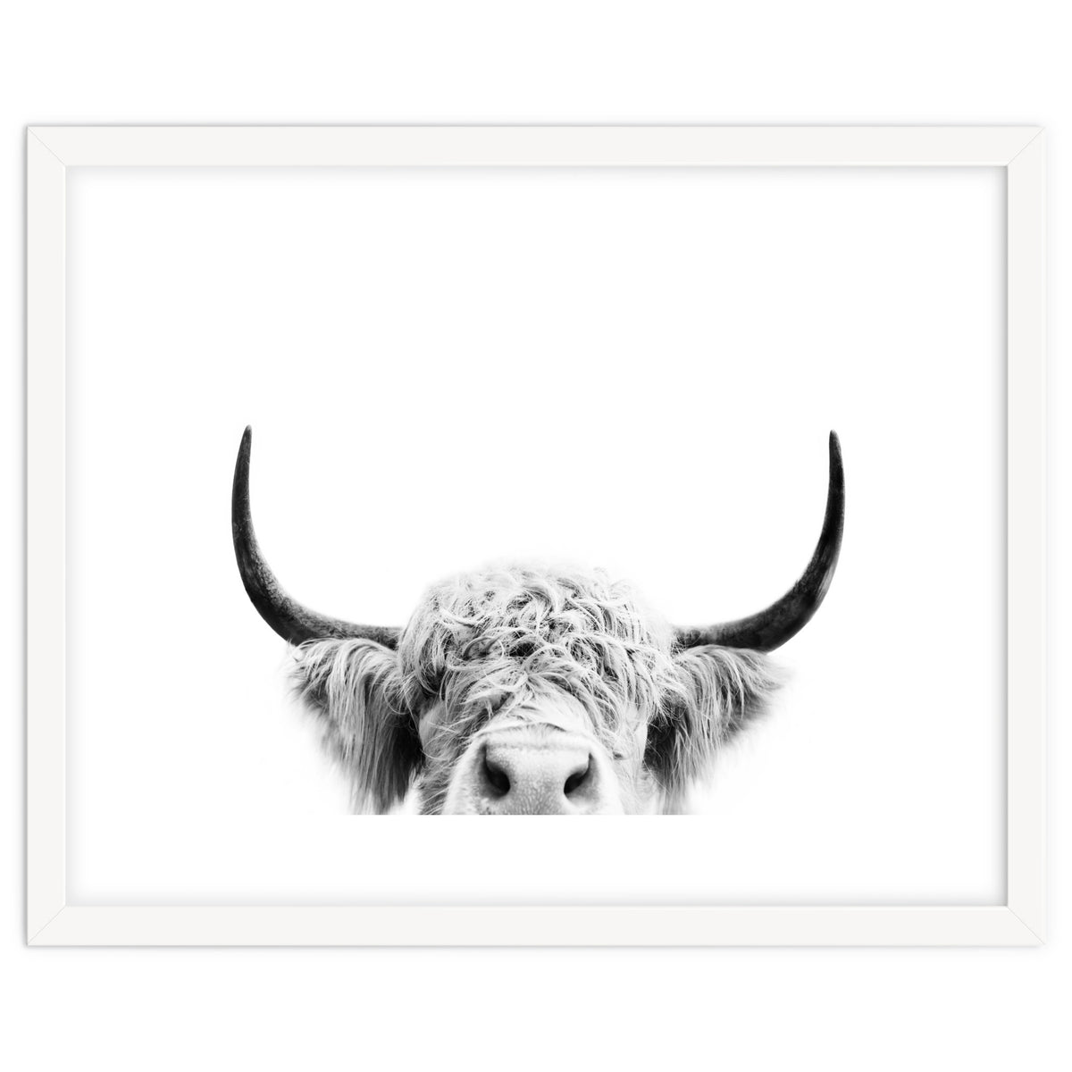 Peeking cow BW