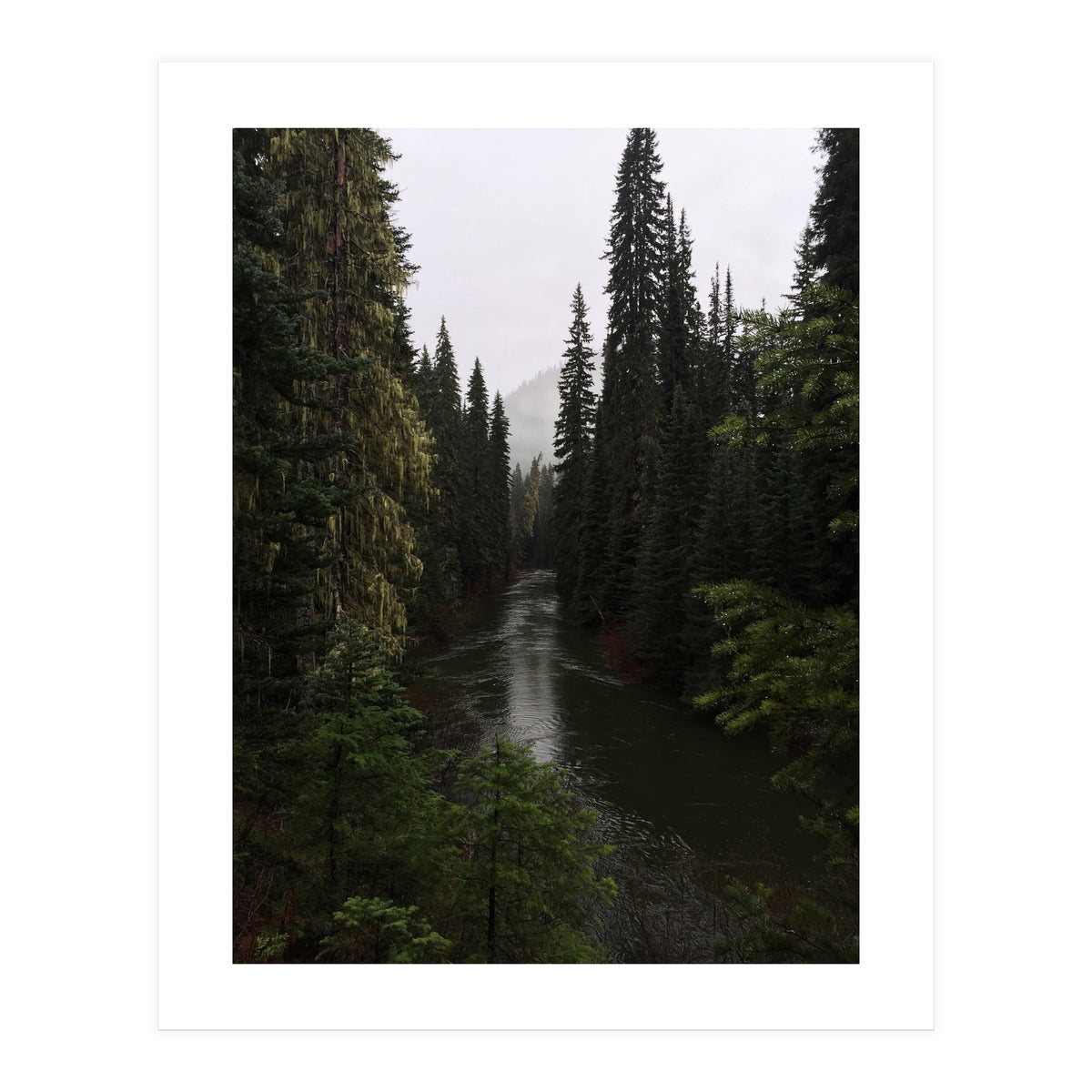 Evergreen State (Print Only)