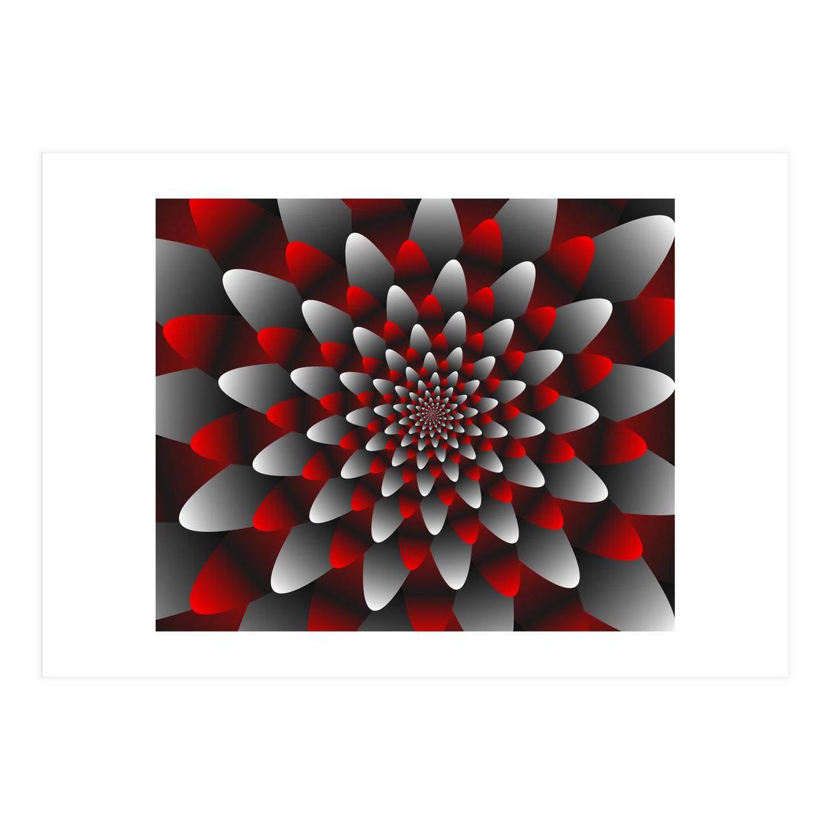 Beautiful Modern Flower Graphics (Print Only)