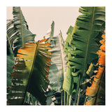 Shades Of Summer (Print Only) thumbnail