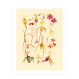 Orchids #3 (Print Only) thumbnail