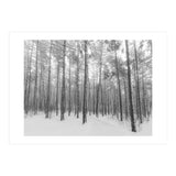 Let It Snow Forest (Print Only) thumbnail