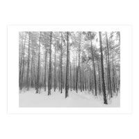 Let It Snow Forest (Print Only)
