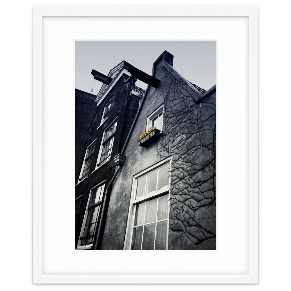 Amsterdam. House With Yellow Flowers.