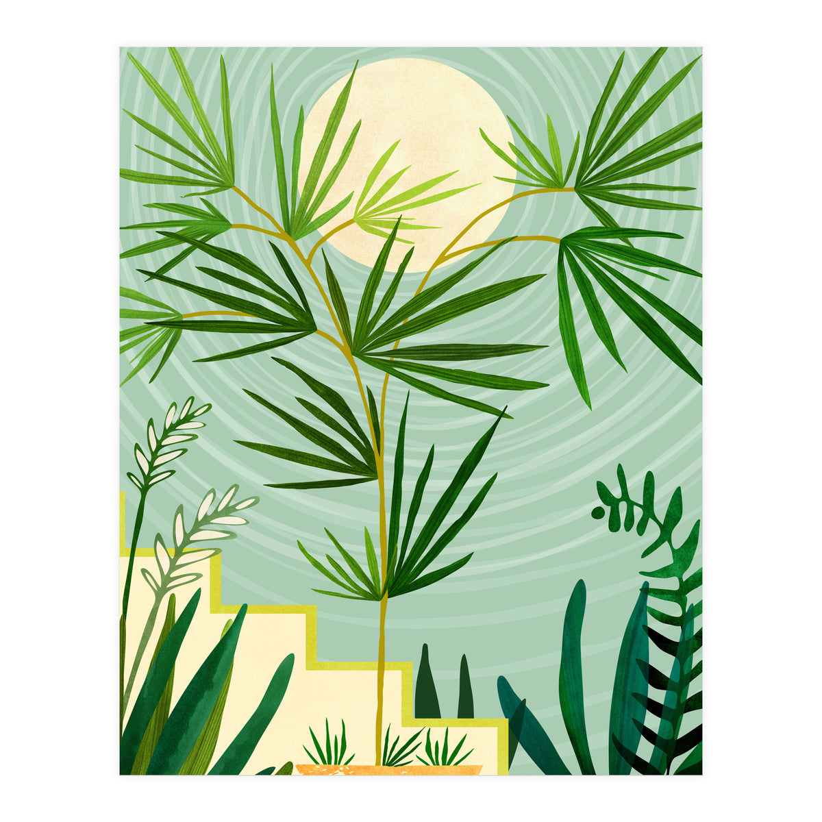 Spring Desert Night (Print Only)