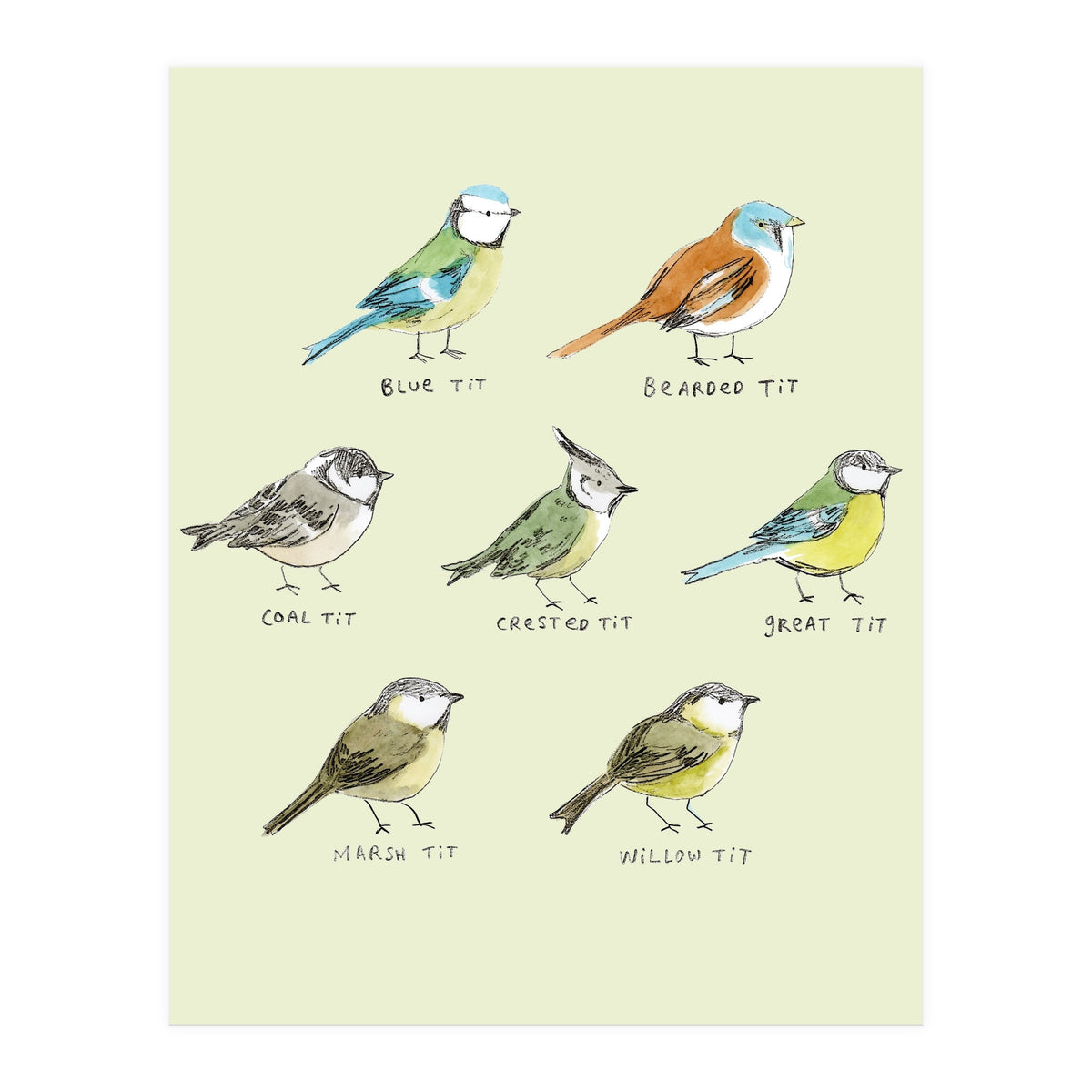 The Tit Family (Print Only)