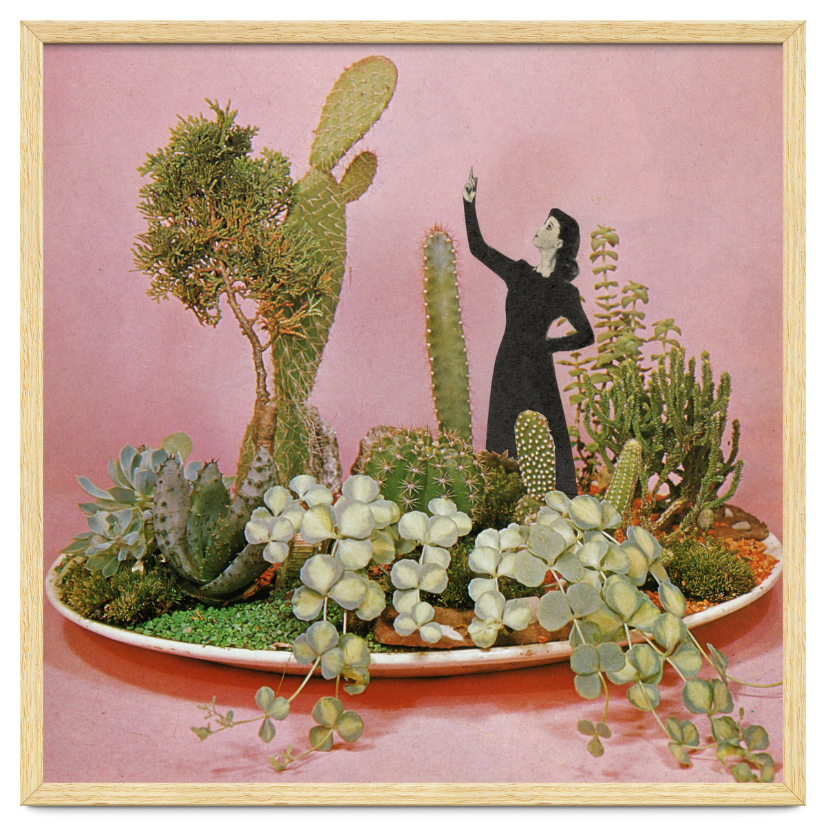 The Wonders Of Cactus Island