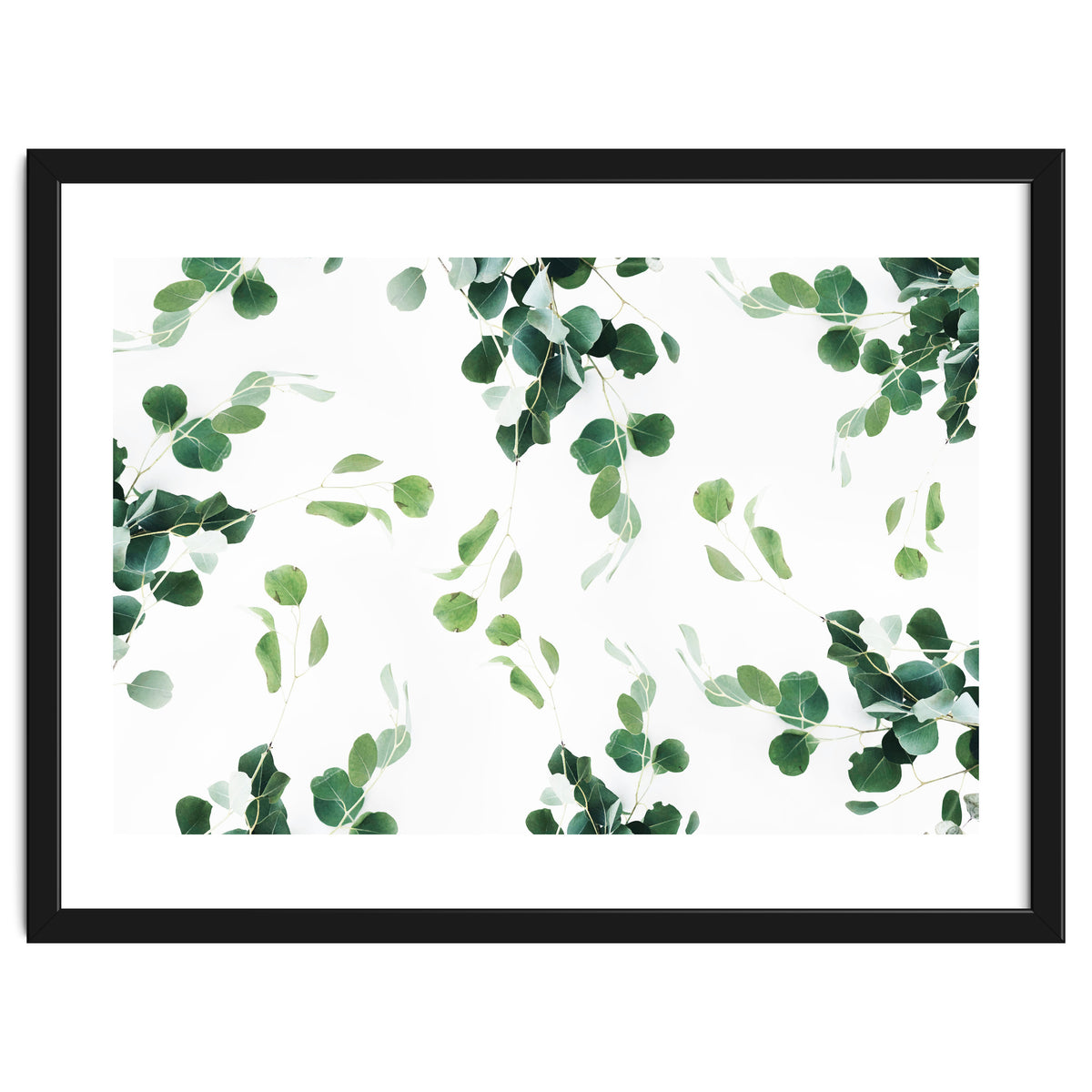 Botanical Celebration