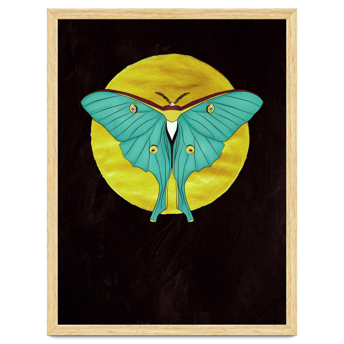 Luna Moth Moon