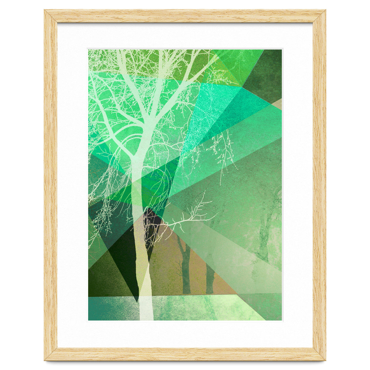 P22 B Trees And Triangles