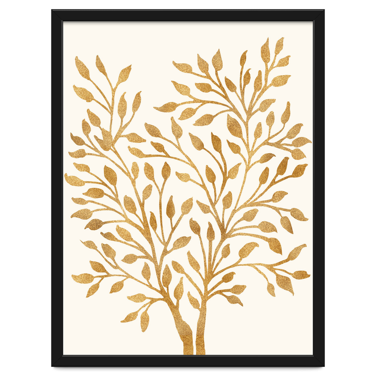 Golden Ficus 4x5