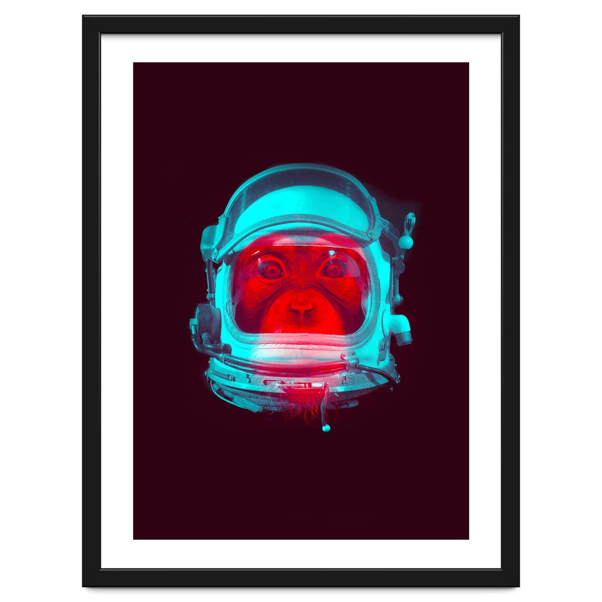 Astronaut