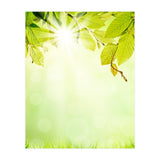 GREEN NATURE (Print Only) thumbnail