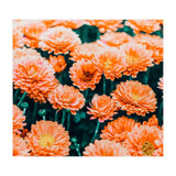 February (Print Only) thumbnail