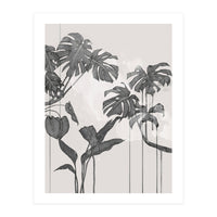Foliage Grey (Print Only)