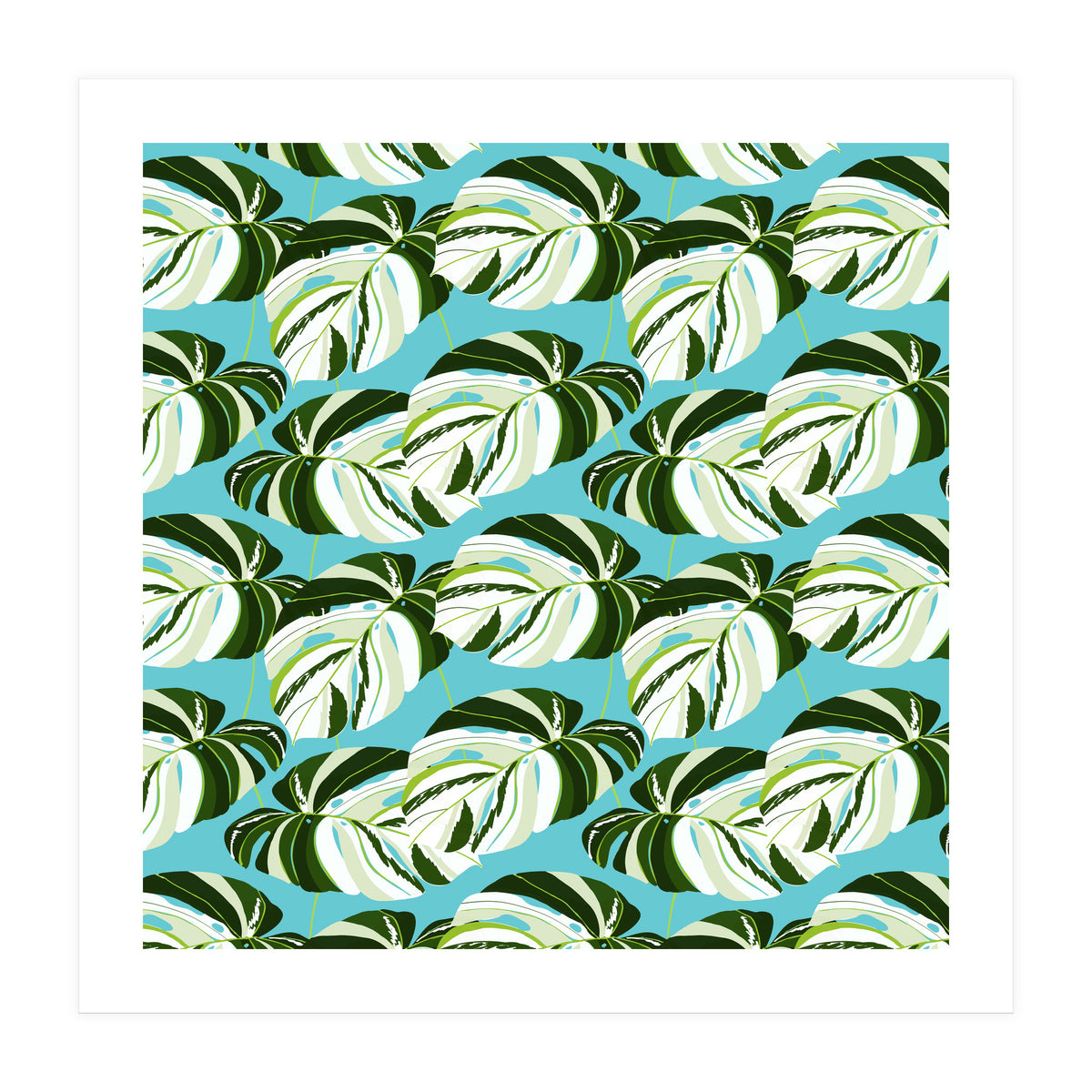 Summer Variegated Monstera | Rainforest Jungle botanical Plants Illustration | Boho Tropical Nature (Print Only)