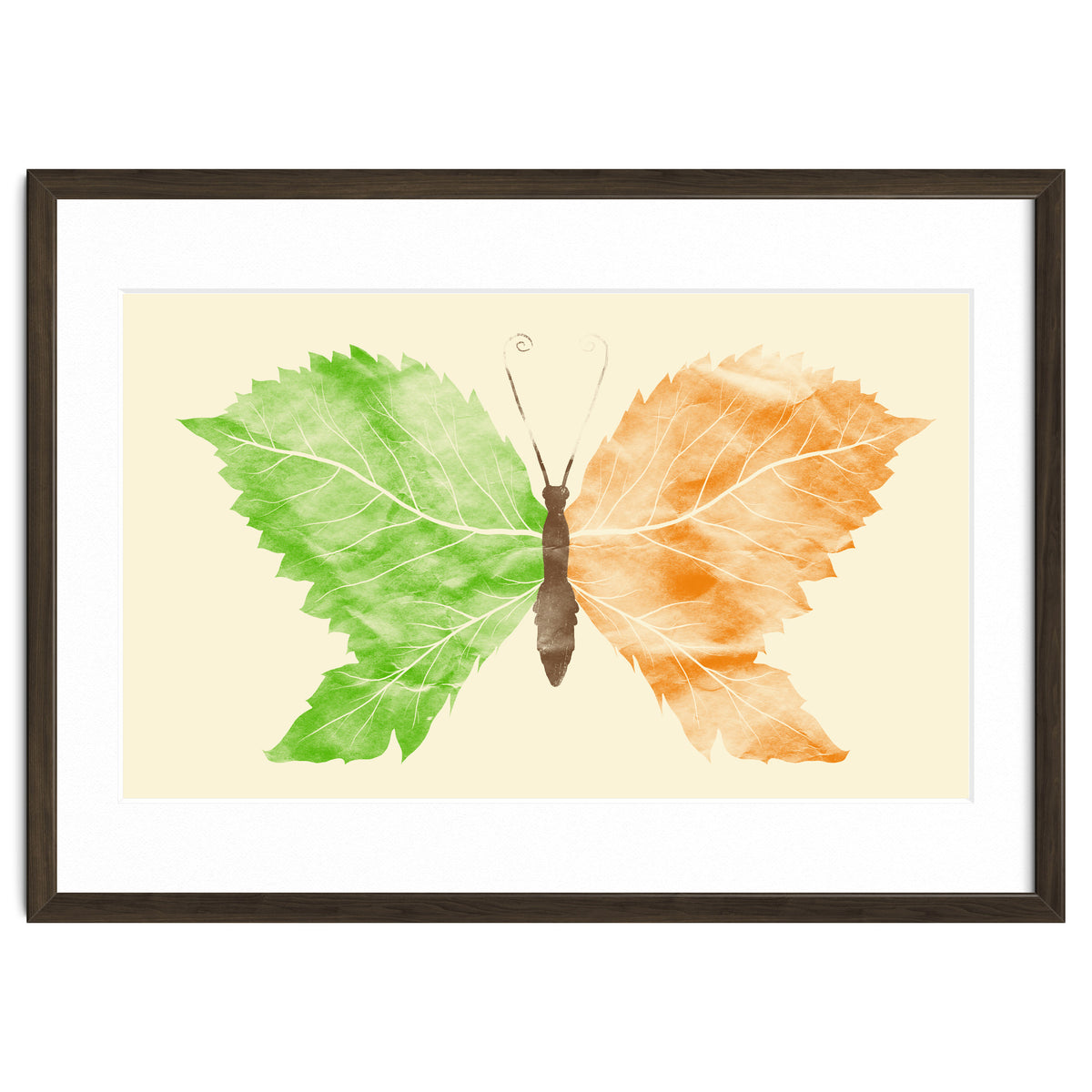 Seasons Change Time Flies