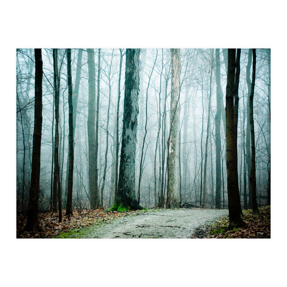 Gather Up Your Dreams (Print Only)