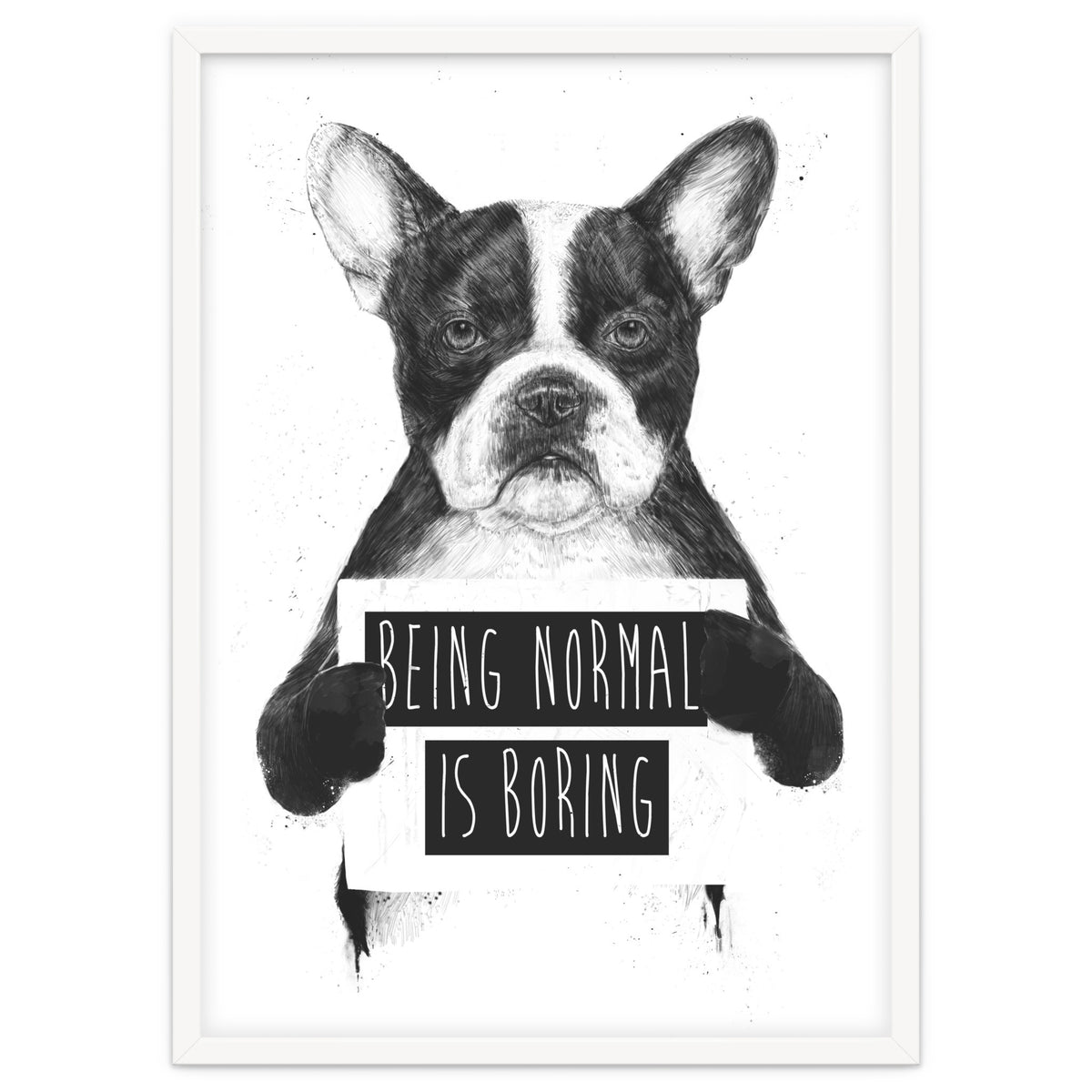 Being Normal Is Boring