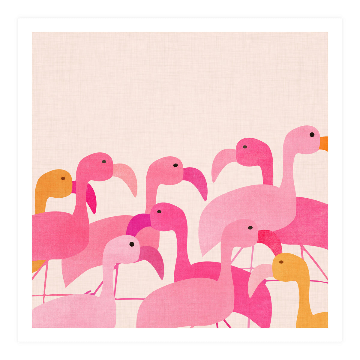 Florida Flamingos (Print Only)