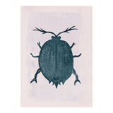 Beetle 2 (Print Only) thumbnail