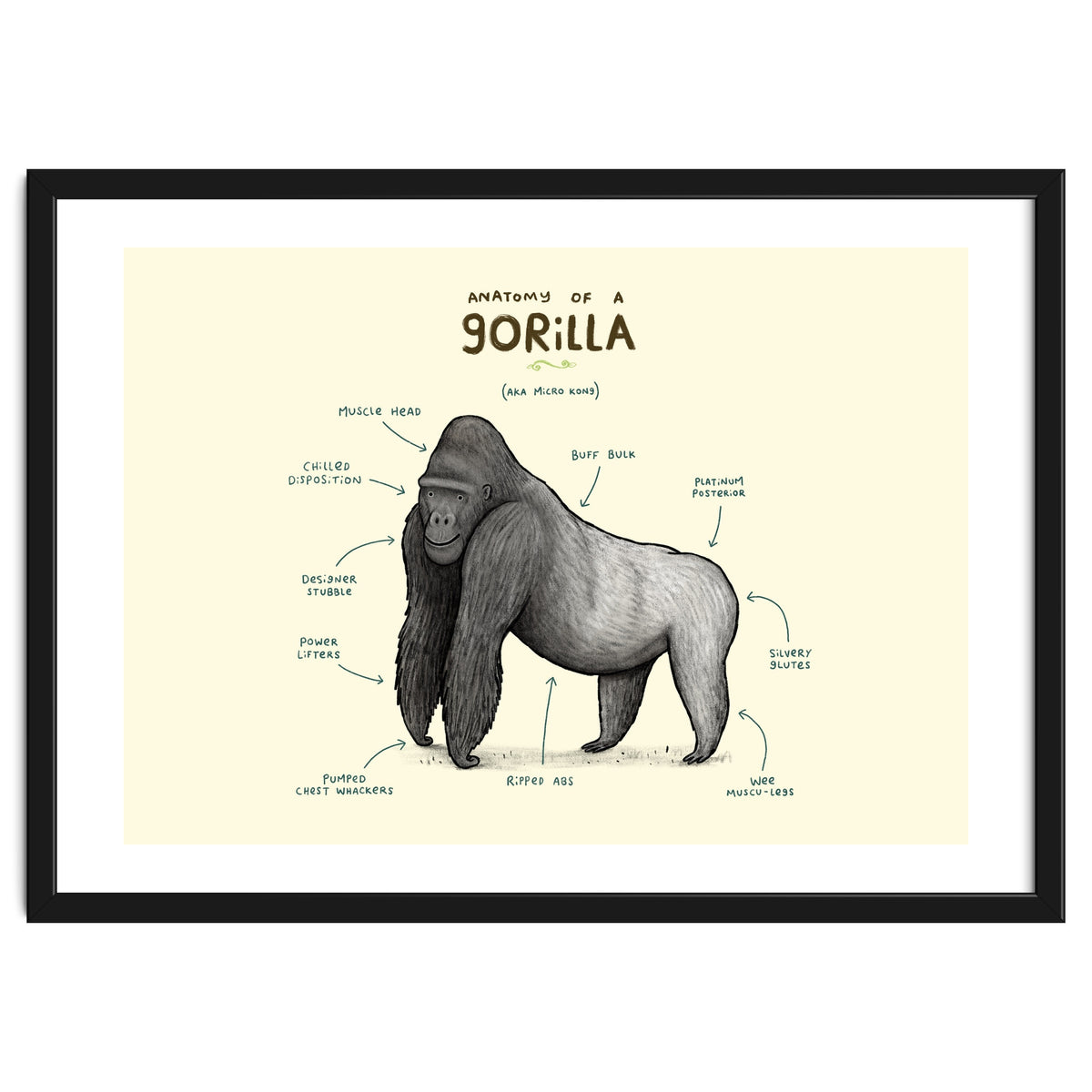 Anatomy of a Gorilla