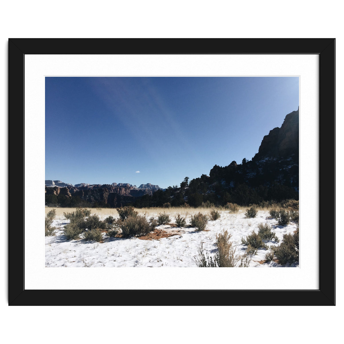 Zion National Park II