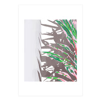 Plant & Shadow (Print Only)