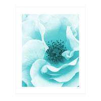 Blue Rose (Print Only)