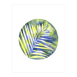 Fern Shadows Std (Print Only) thumbnail