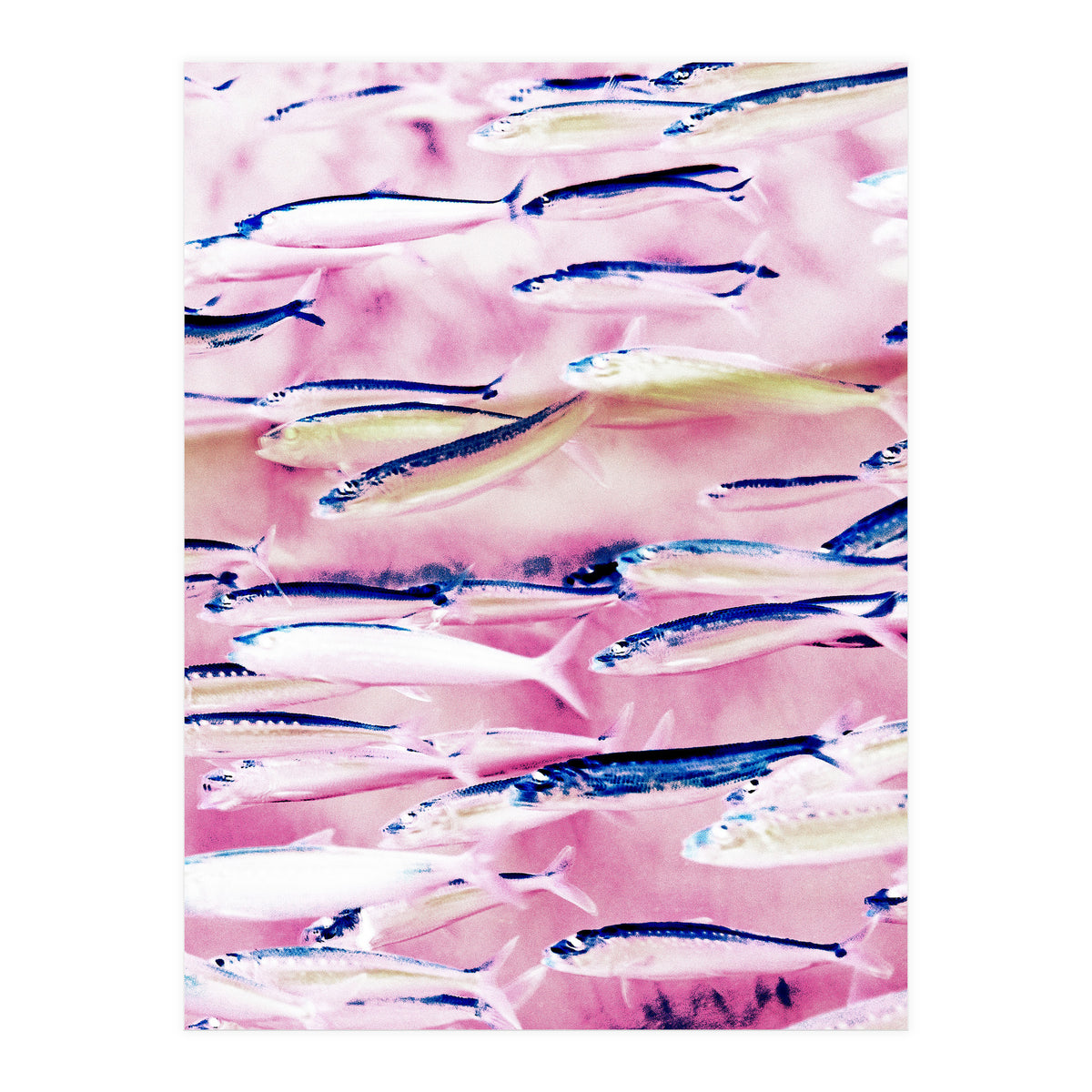 Marked Coast (Print Only)