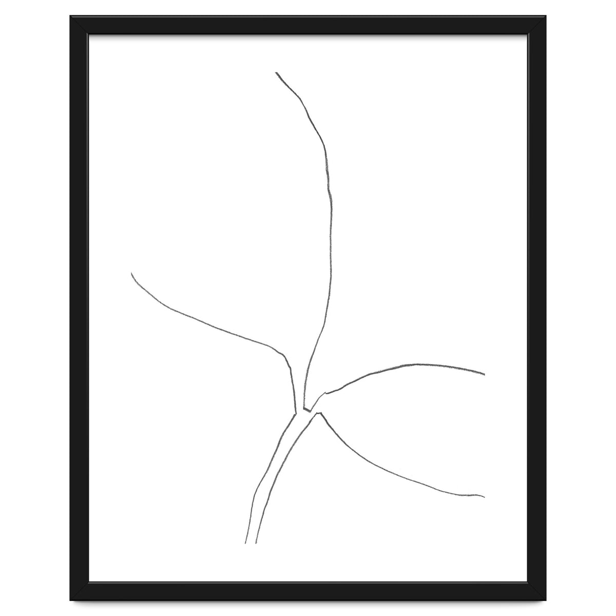 Seedling Leaning Right