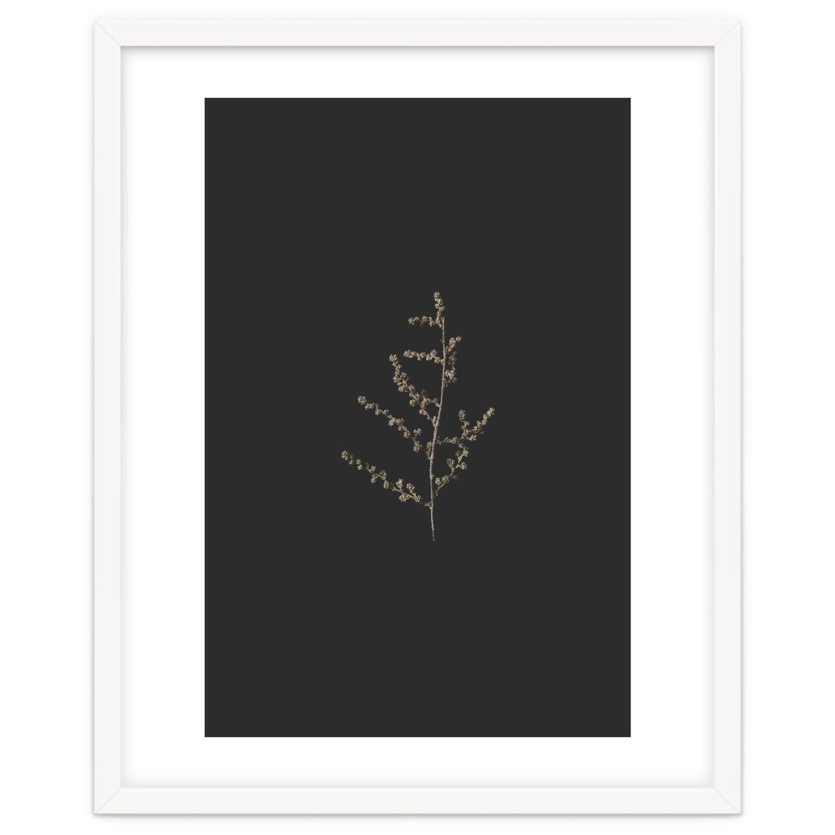 Dainty Botanicals in Gold and Black