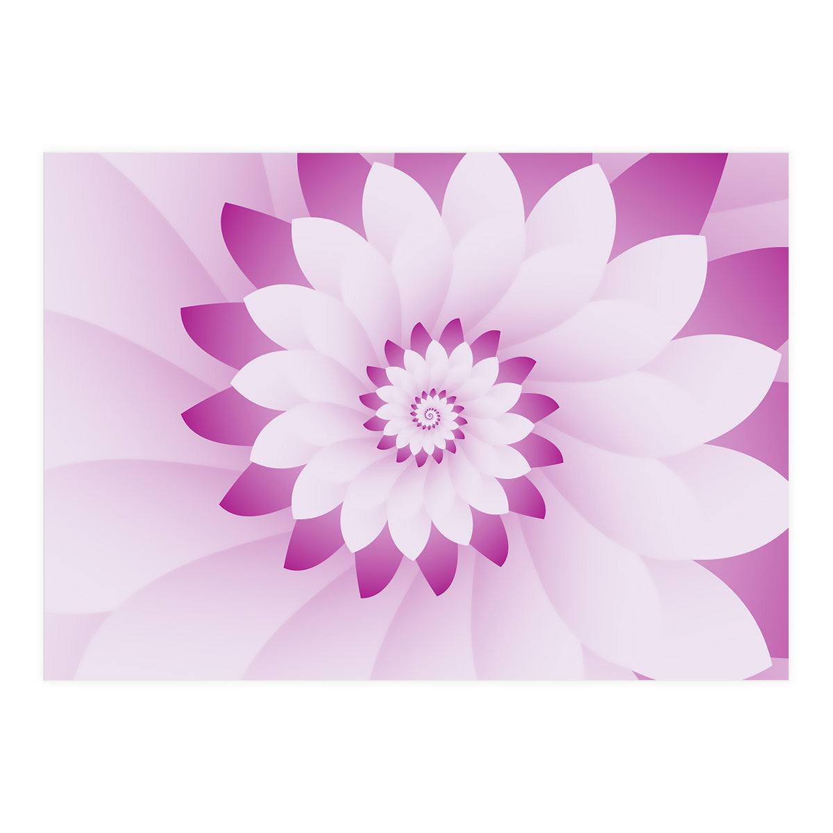 Abstract Pink & White Floral Design  (Print Only)