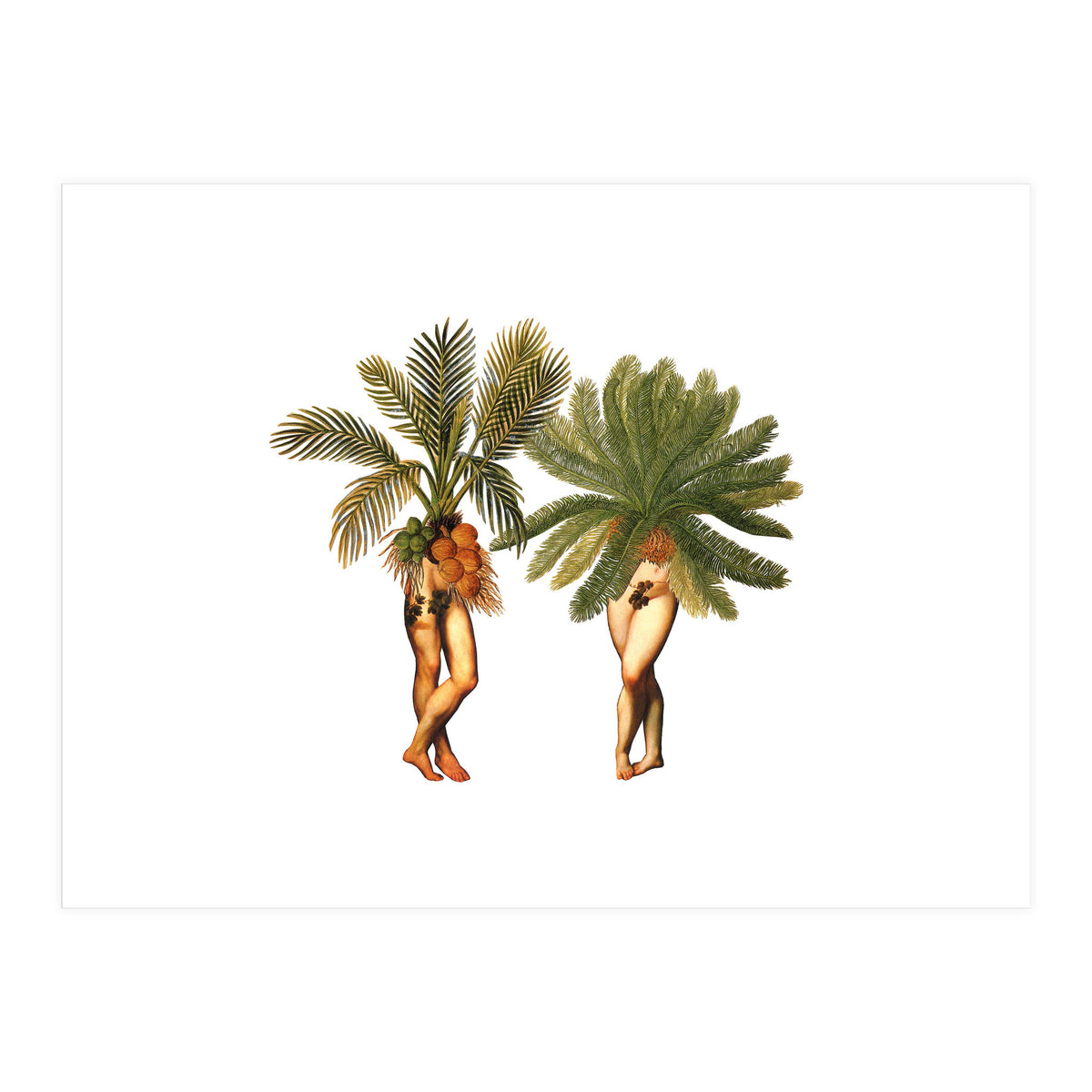 The Palms (Print Only)