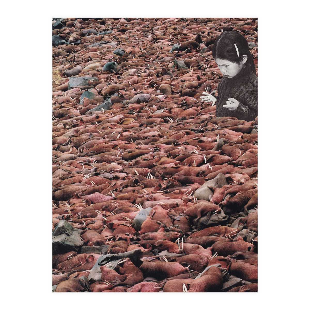Counting Walrus (Print Only)