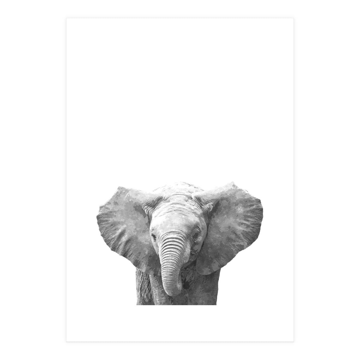 Black and White Baby Elephant  (Print Only)