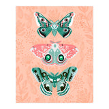 Lepidoptery No. 3 (Print Only) thumbnail
