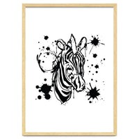 Zebra sketch