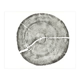 Rock Canyon, Tree Ring Print, Woodblock (Print Only) thumbnail
