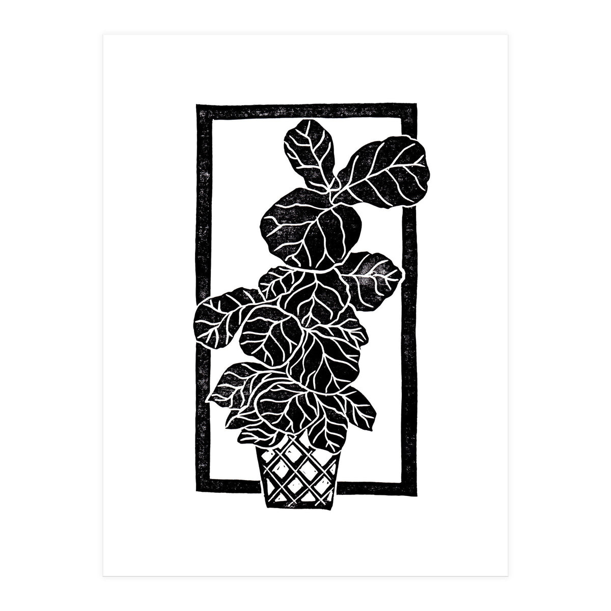 Fiddle Leaf Fig (Print Only)