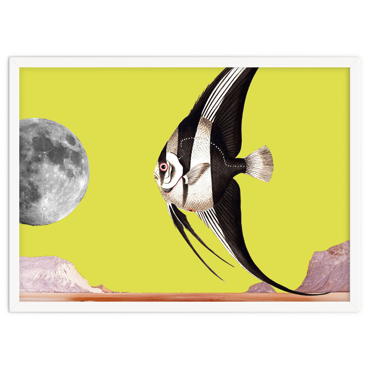 Plenty of fish in the sea yellow