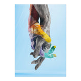 Environmental Issues Hi Res (Print Only) thumbnail