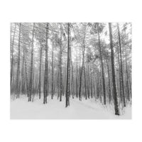 Let It Snow Forest (Print Only)