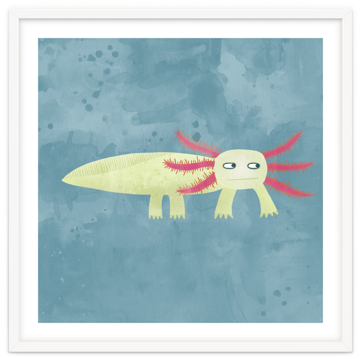Axolotl