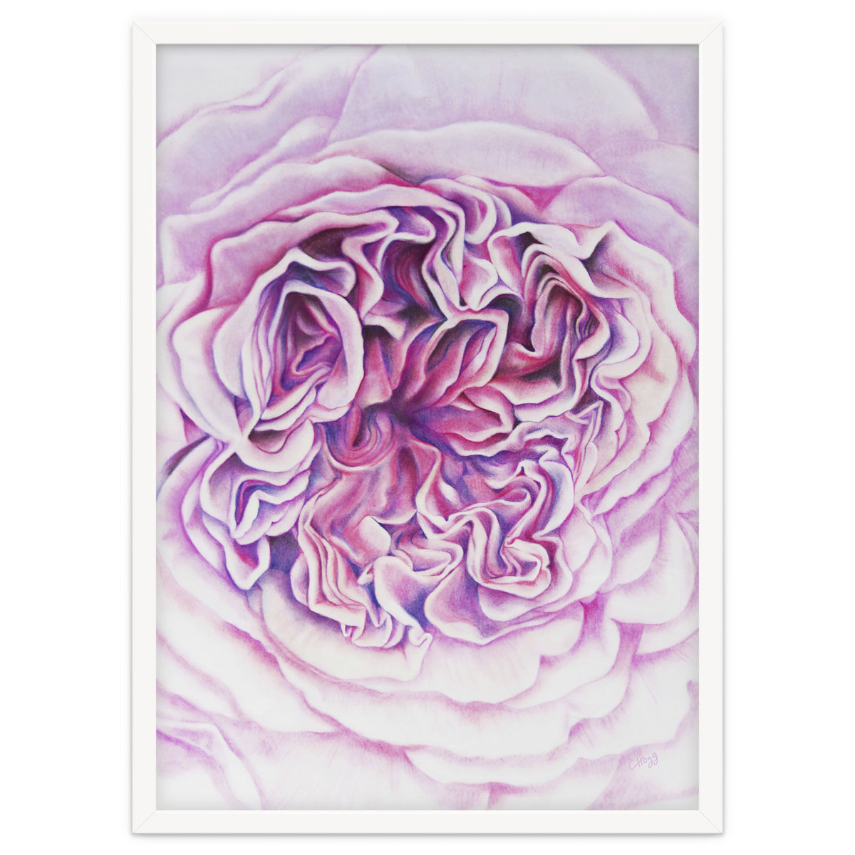 A Rose Is A Rose Std