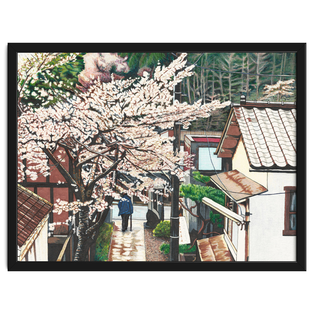 Passing by Cherry Blossoms