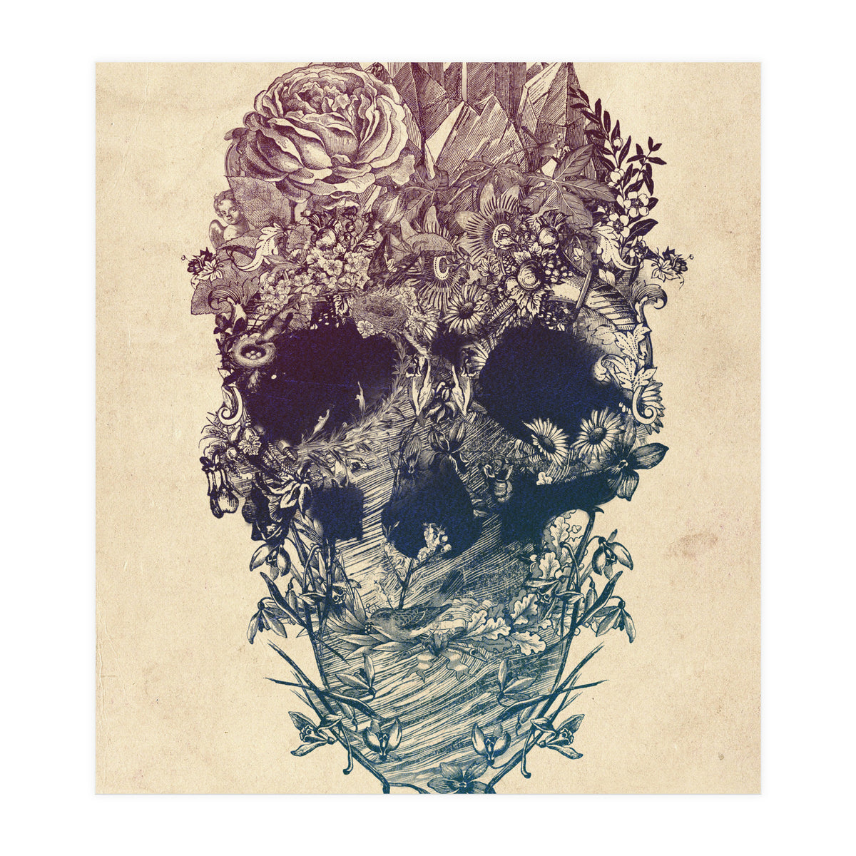 Skull Floral  (Print Only)