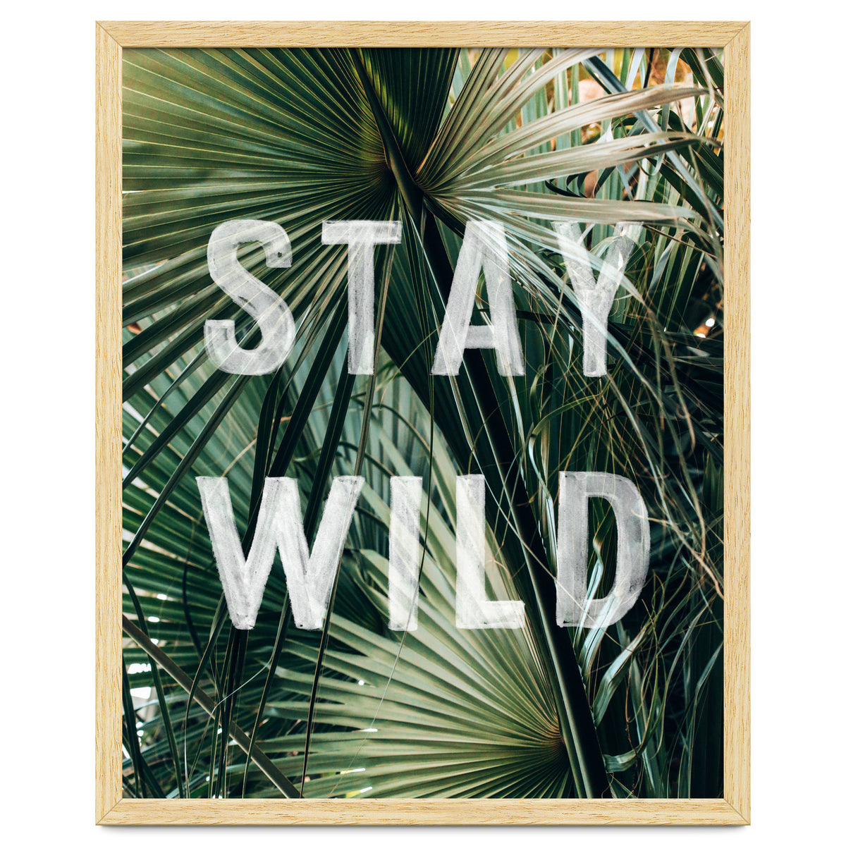 Stay Wild