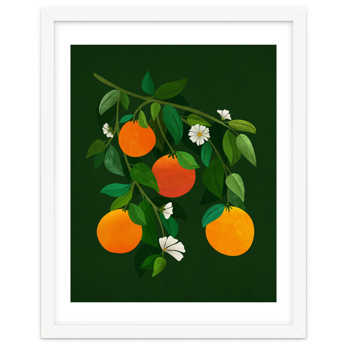 Oranges and Blossoms